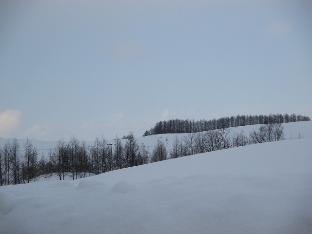 丘の雪景色