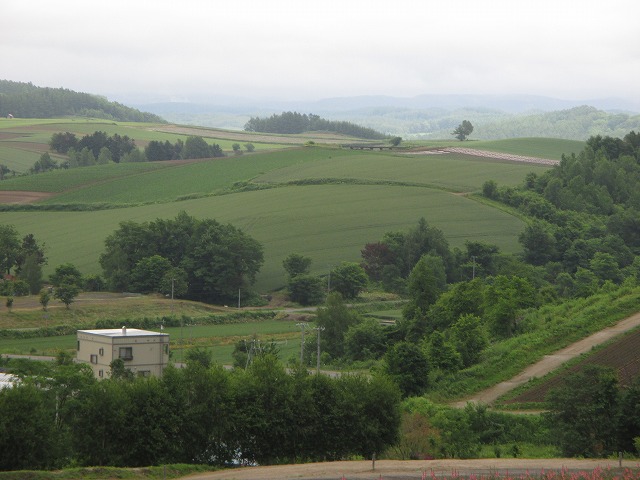 丘の風景