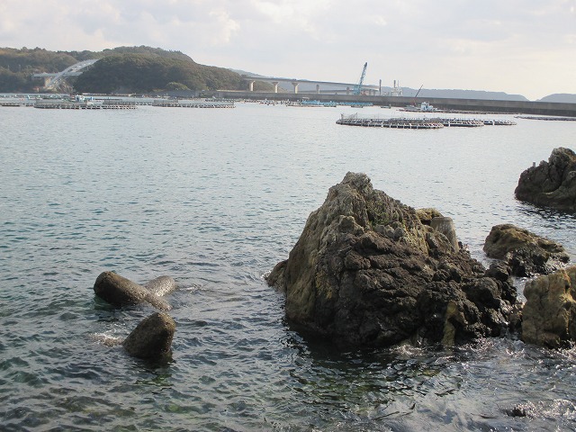 海の岩場