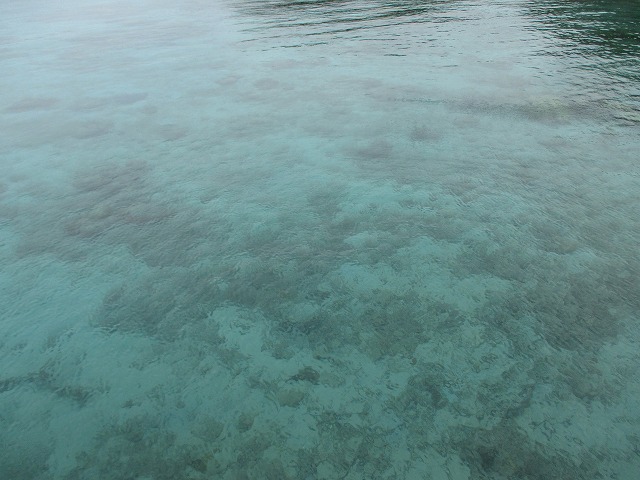 水色の海